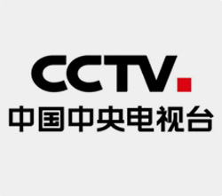 CCTV央视换新LOGO步伐不断加快